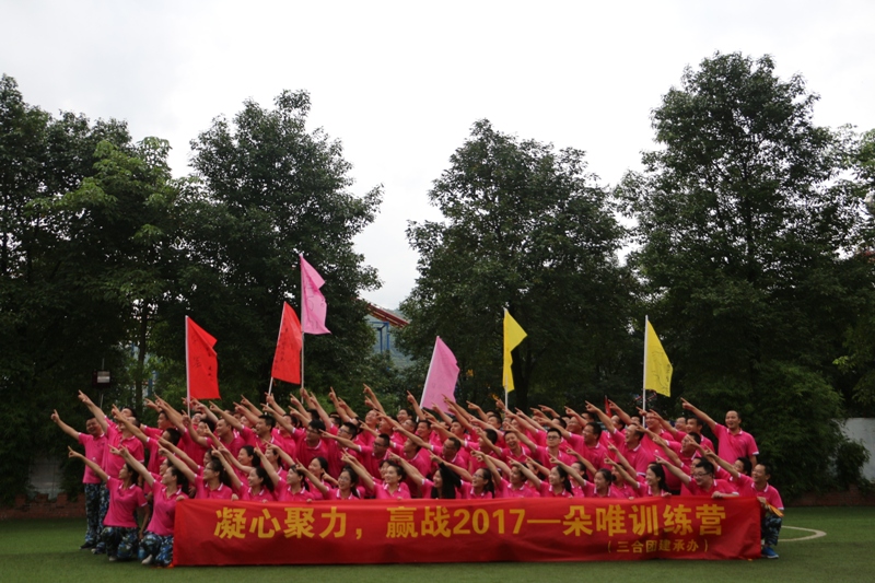 热烈祝贺朵唯集团2017年夏季训练营圆满结业